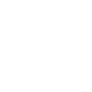 NN News White